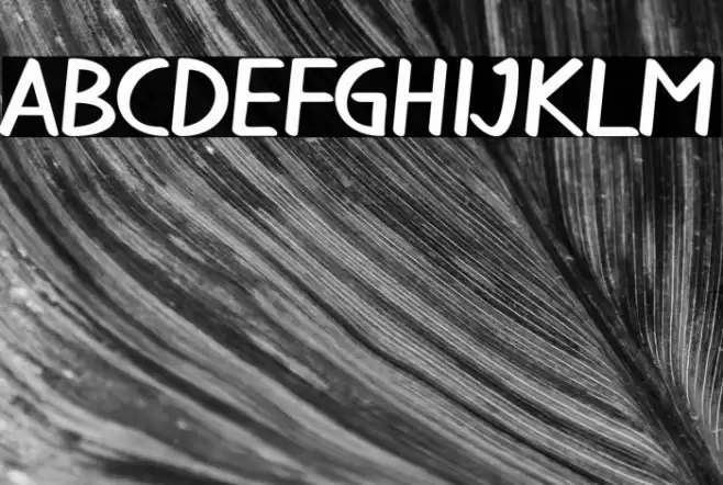 little coffee Font examples