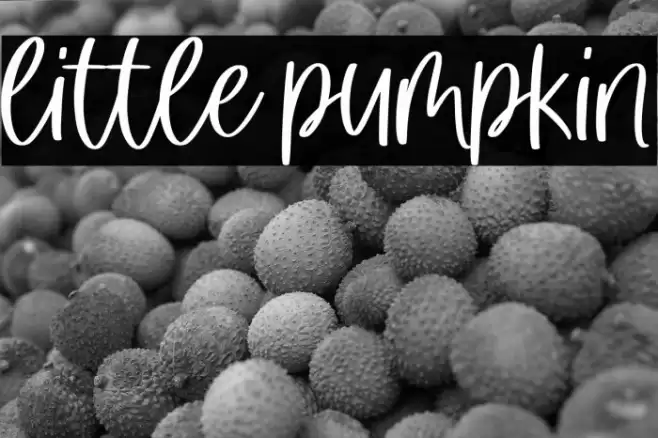 little pumpkin Font examples