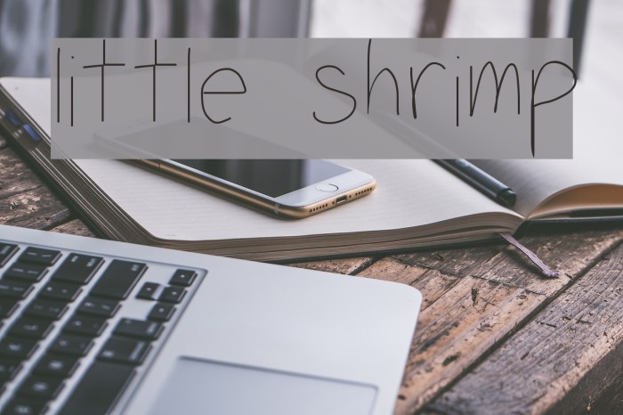 little shrimp Font examples