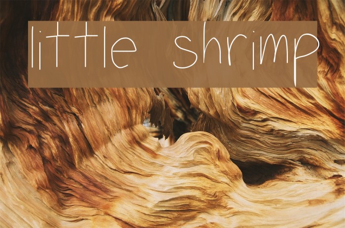 little shrimp Font examples