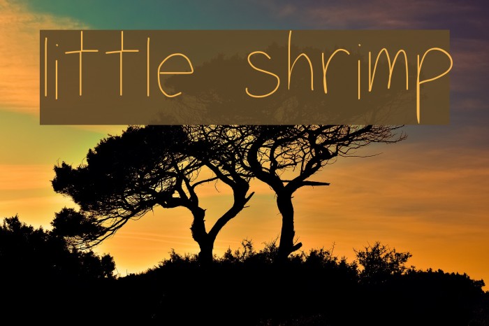 little shrimp Font examples