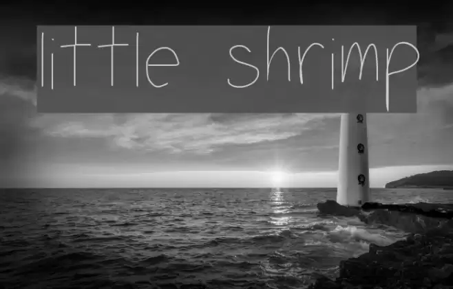 little shrimp Font examples
