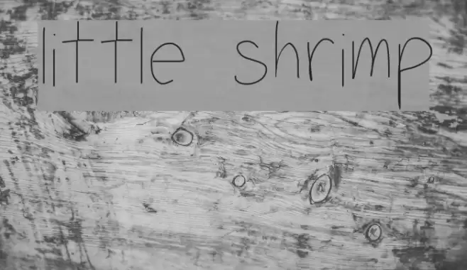 little shrimp Font examples