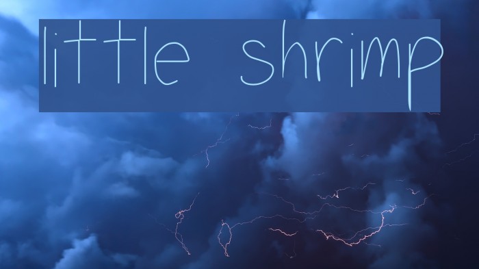 little shrimp Font examples