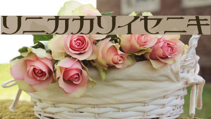 littlepig Font examples
