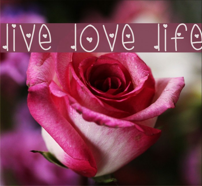 live love life Font examples