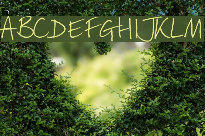 lizzielongstocking Font examples