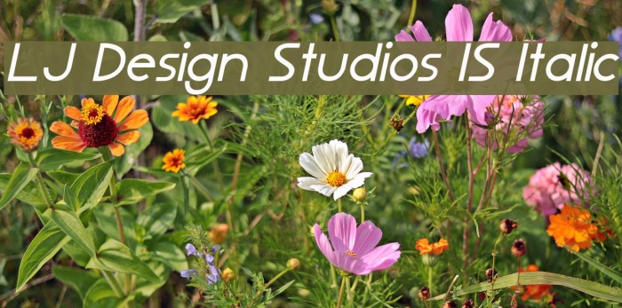 LJ Design Studios IS Italic Font examples