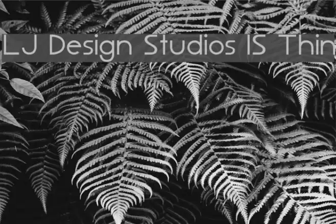 LJ Design Studios IS Thin Font examples