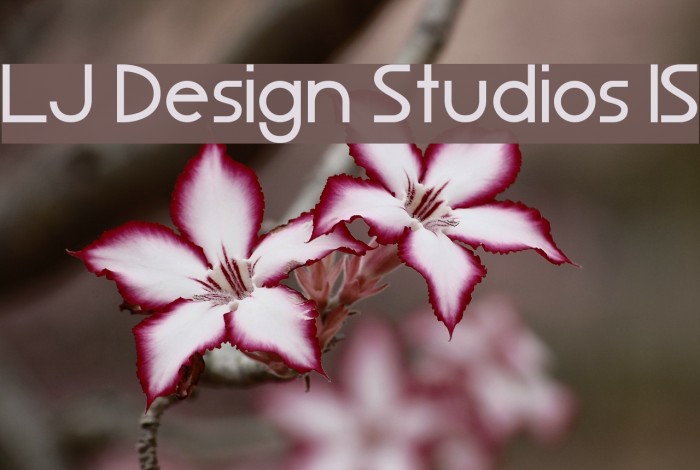 LJ Design Studios IS Font examples