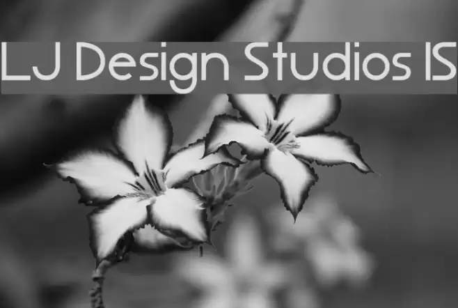 LJ Design Studios IS Font examples