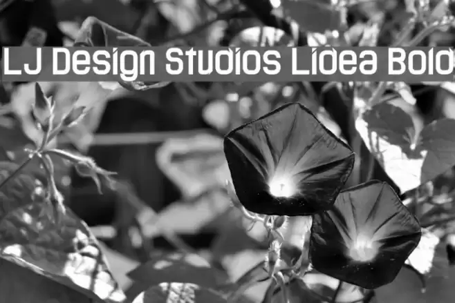 LJ Design Studios Lidea Bold Font examples