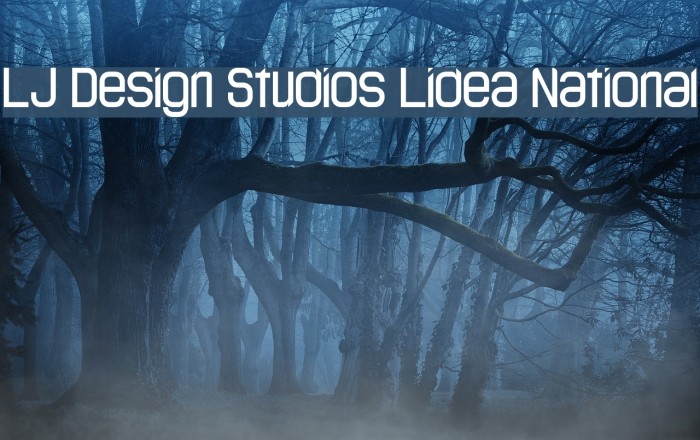 LJ Design Studios Lidea National Font examples