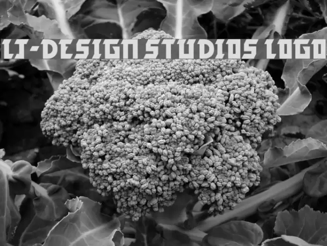 LJ-Design Studios Logo Шрифта examples