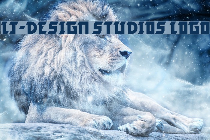 LJ-Design Studios Logo Font examples