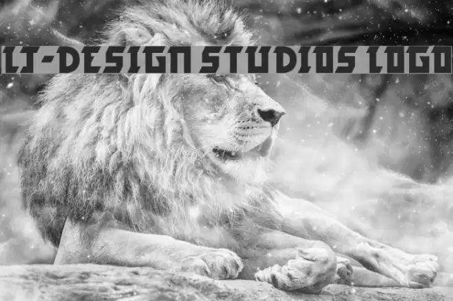 LJ-Design Studios Logo Шрифта examples
