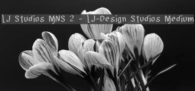 LJ Studios MNS 2 - LJ-Design Studios Medium Font examples