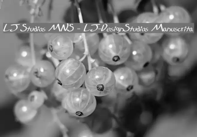 LJ Studios MNS - LJ-DesignStudios Manuscrita Шрифта examples