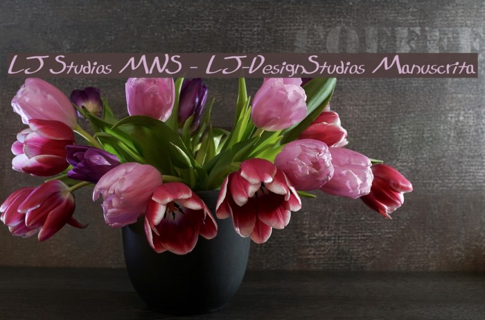 LJ Studios MNS - LJ-DesignStudios Manuscrita フォント examples