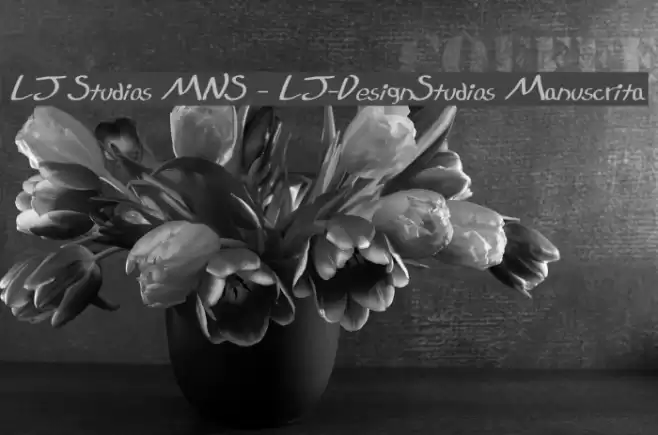 LJ Studios MNS - LJ-DesignStudios Manuscrita Шрифта examples