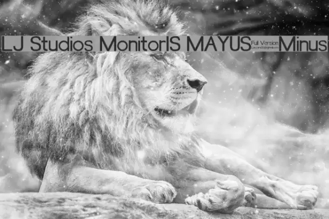 LJ Studios MonitorIS MAYUS/Minus Schriftart examples