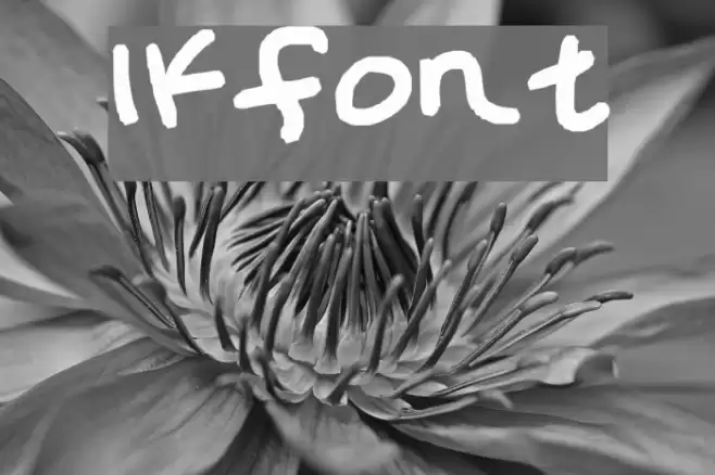 lkfont Font examples