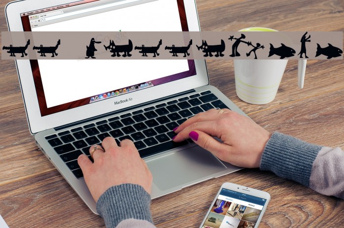 LL HulluPoro Example 1