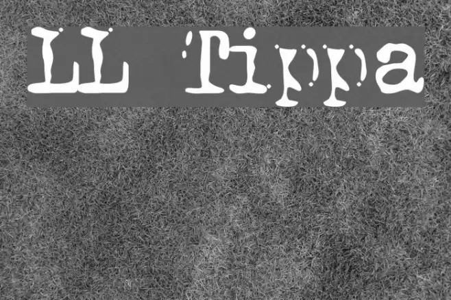 LL Tippa Font examples