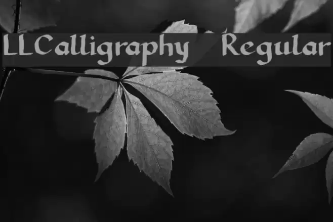 LLCalligraphy Regular Font examples
