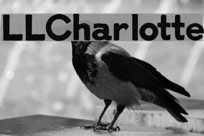 LLCharlotte Font examples