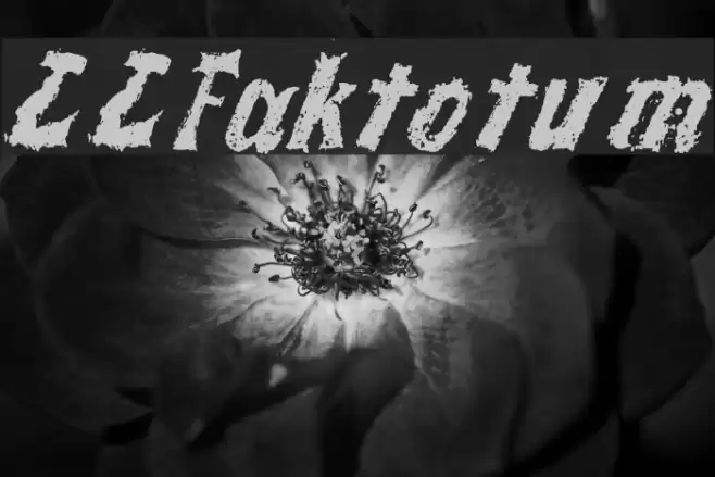 LLFaktotum Font examples