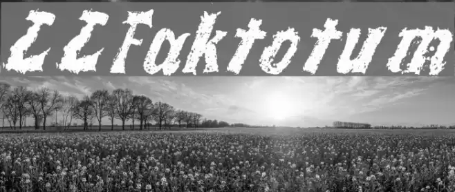 LLFaktotum Font examples