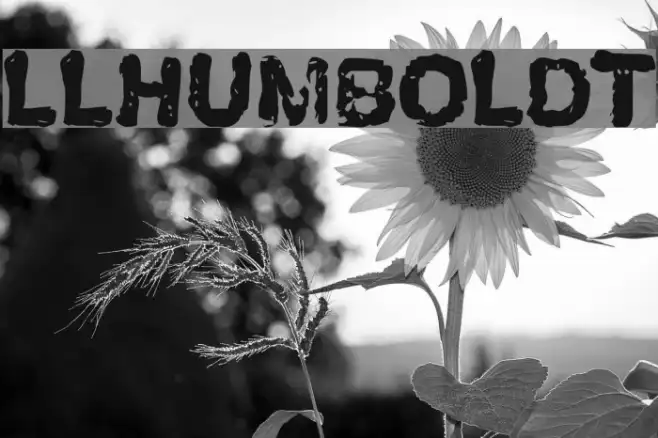 LLHumboldt Example 1