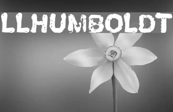 LLHumboldt Example 2