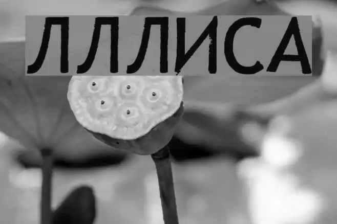 LLLisa Font examples