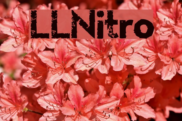 LLNitro Font examples
