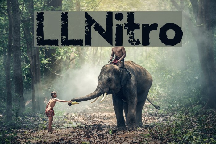 LLNitro Font examples