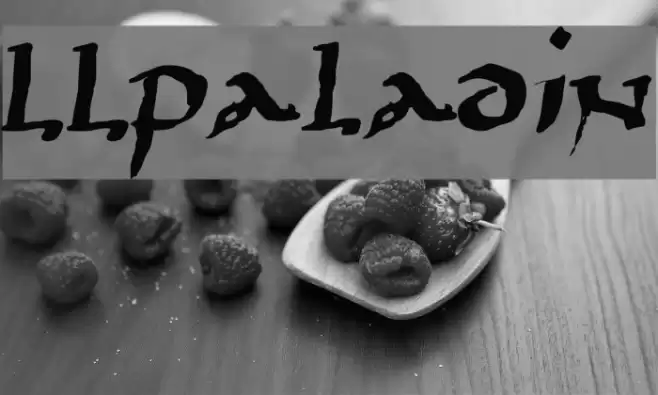 LLPaladin Font examples