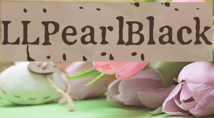 LLPearlBlack Font examples
