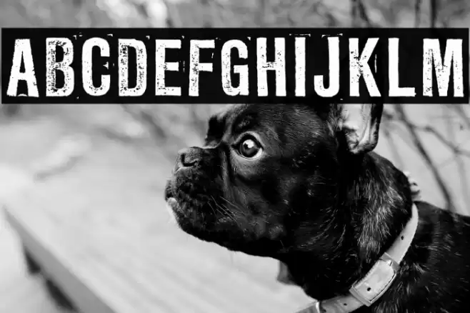 LLRubberGrotesqueOTF Font examples