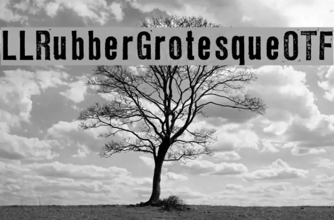LLRubberGrotesqueOTF Fuentes examples