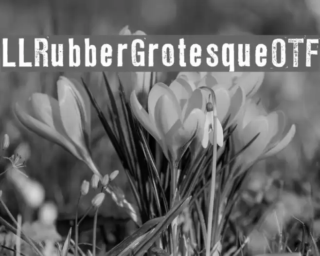 LLRubberGrotesqueOTF Fuentes examples