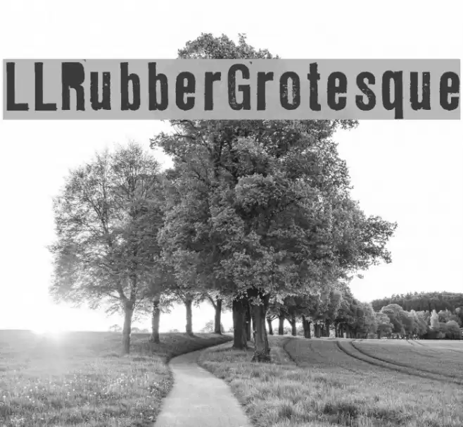 LLRubberGrotesque Font examples