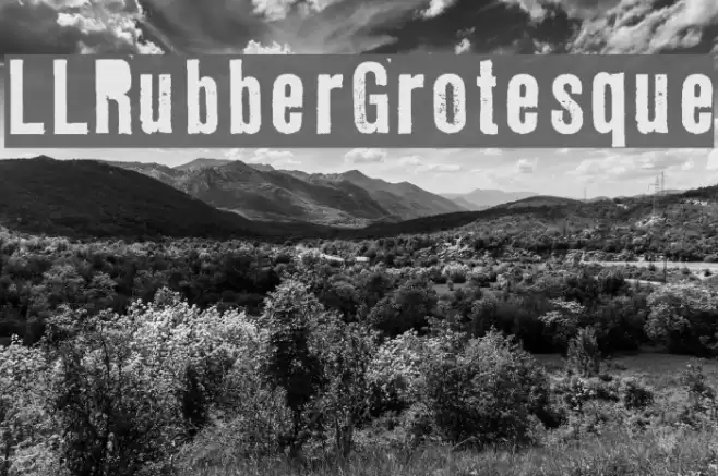 LLRubberGrotesque Font examples
