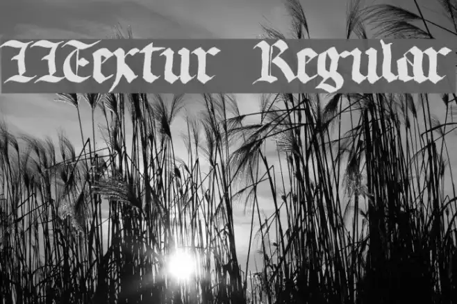 LLTextur  Regular Example 1