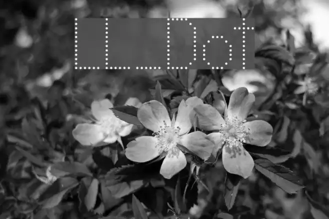 LL_Dot Example 3
