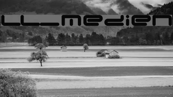 LL_Medien Fonte examples