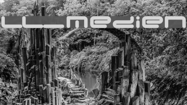 LL_Medien Fonte examples