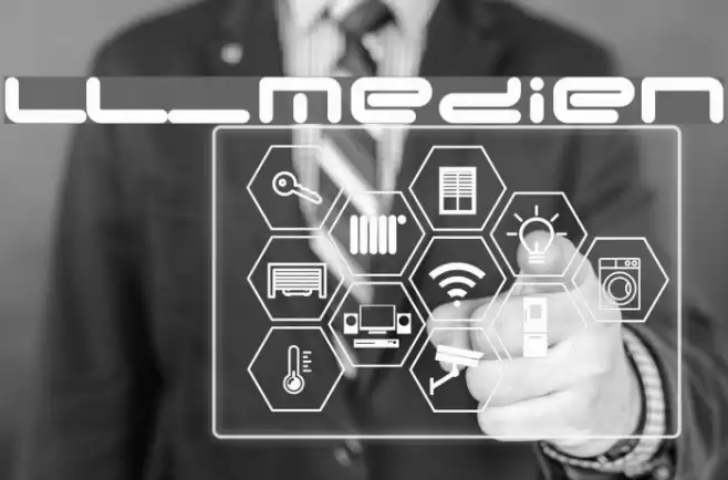 LL_Medien Fonte examples