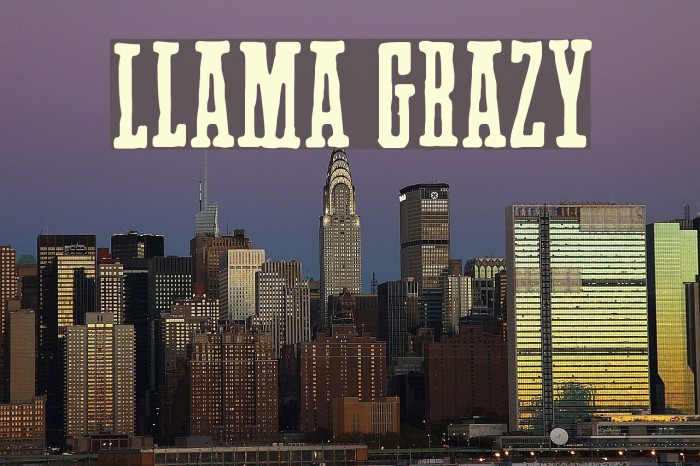 Llama Grazy Example 1